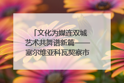 文化为媒连双城 艺术共舞谱新篇——塞尔维亚科瓦契察市代表团访问日照