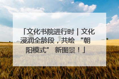 文化书院进行时｜文化浸润全龄段，共绘 “朝阳模式” 新图景！