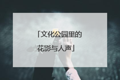 文化公园里的花影与人声
