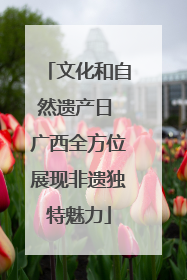 文化和自然遗产日 广西全方位展现非遗独特魅力