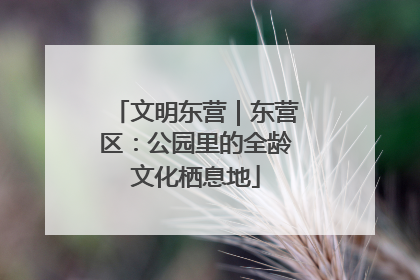 文明东营｜东营区：公园里的全龄文化栖息地