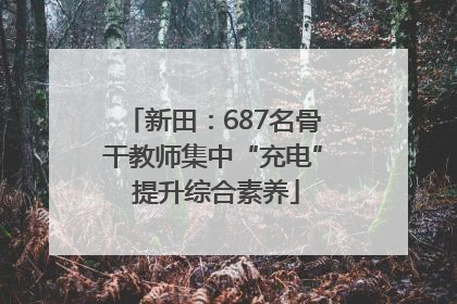 新田：687名骨干教师集中“充电” 提升综合素养