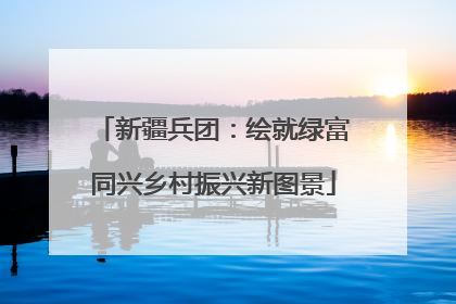 新疆兵团：绘就绿富同兴乡村振兴新图景
