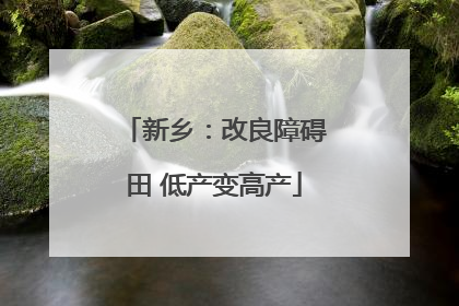 新乡：改良障碍田 低产变高产