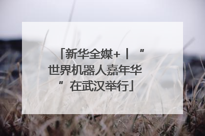 新华全媒+丨“世界机器人嘉年华”在武汉举行