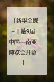 新华全媒+丨第9届中国—南亚博览会开幕