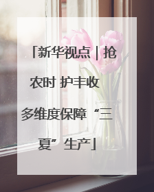 新华视点｜抢农时 护丰收 多维度保障“三夏”生产