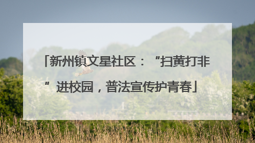 新州镇文星社区：“扫黄打非”进校园，普法宣传护青春