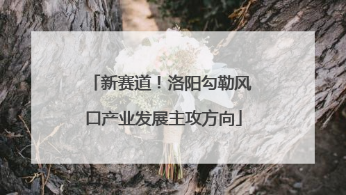 新赛道！洛阳勾勒风口产业发展主攻方向