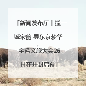新闻发布厅丨揽一城宋韵 寻东京梦华 全省文旅大会26日在开封启幕
