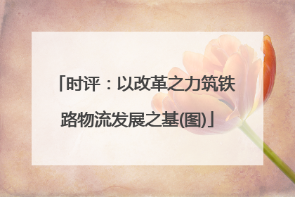 时评：以改革之力筑铁路物流发展之基(图)