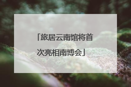 旅居云南馆将首次亮相南博会
