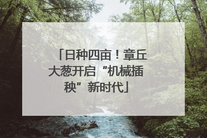 日种四亩！章丘大葱开启“机械插秧”新时代