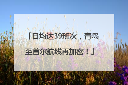 日均达39班次，青岛至首尔航线再加密！