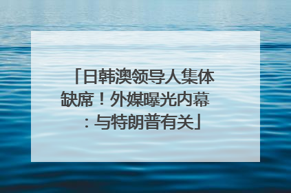 日韩澳领导人集体缺席！外媒曝光内幕：与特朗普有关