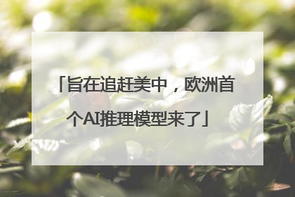 旨在追赶美中，欧洲首个AI推理模型来了