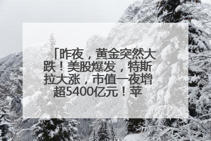 昨夜，黄金突然大跌！美股爆发，特斯拉大涨，市值一夜增超5400亿元！苹果传来大消息
