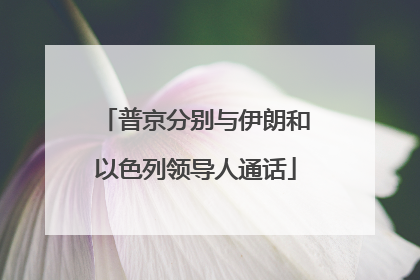 普京分别与伊朗和以色列领导人通话
