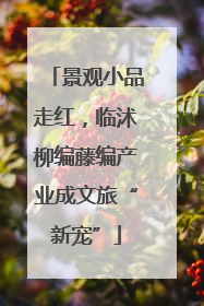 景观小品走红，临沭柳编藤编产业成文旅“新宠”