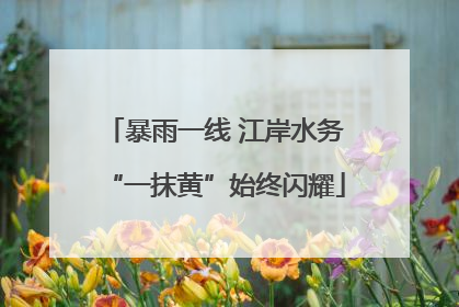 暴雨一线 江岸水务“一抹黄”始终闪耀