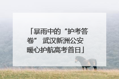 暴雨中的“护考答卷” 武汉新洲公安暖心护航高考首日