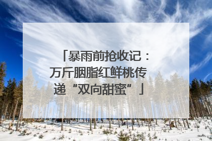 暴雨前抢收记：万斤胭脂红鲜桃传递“双向甜蜜”