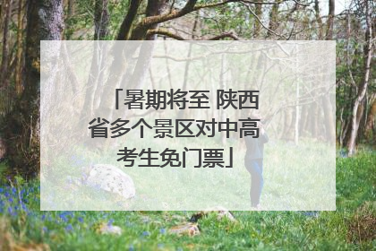暑期将至 陕西省多个景区对中高考生免门票