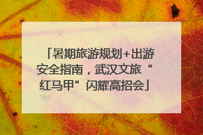 暑期旅游规划+出游安全指南，武汉文旅“红马甲”闪耀高招会