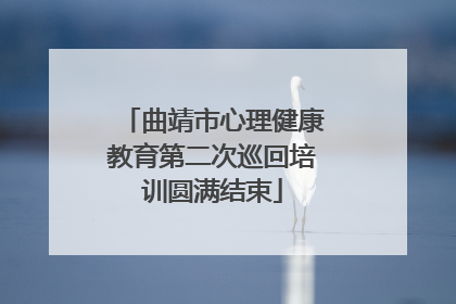 曲靖市心理健康教育第二次巡回培训圆满结束