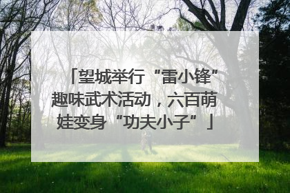 望城举行“雷小锋”趣味武术活动，六百萌娃变身“功夫小子”