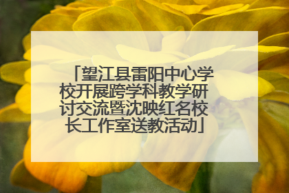 望江县雷阳中心学校开展跨学科教学研讨交流暨沈映红名校长工作室送教活动