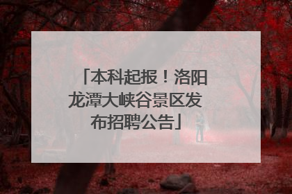 本科起报！洛阳龙潭大峡谷景区发布招聘公告