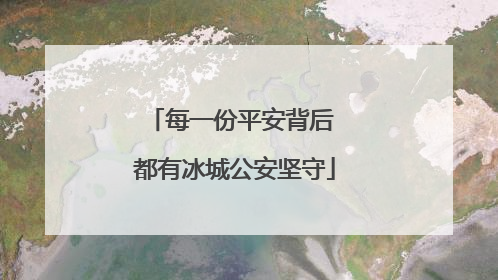 每一份平安背后 都有冰城公安坚守