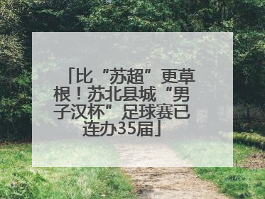 比“苏超”更草根！苏北县城“男子汉杯”足球赛已连办35届