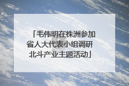 毛伟明在株洲参加省人大代表小组调研北斗产业主题活动