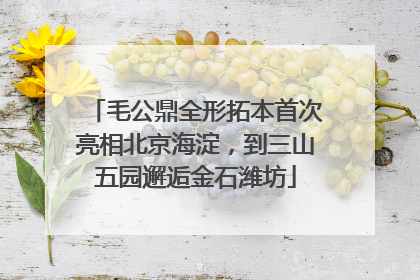 毛公鼎全形拓本首次亮相北京海淀，到三山五园邂逅金石潍坊