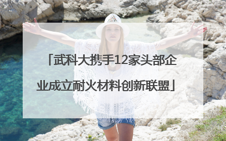 武科大携手12家头部企业成立耐火材料创新联盟
