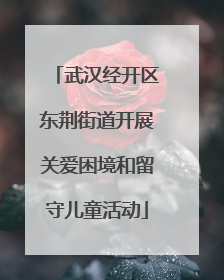 武汉经开区东荆街道开展关爱困境和留守儿童活动