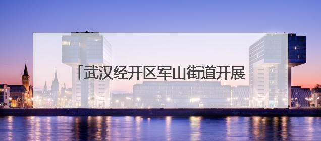 武汉经开区军山街道开展节前环境综合大整治行动