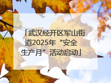 武汉经开区军山街道2025年“安全生产月”活动启动