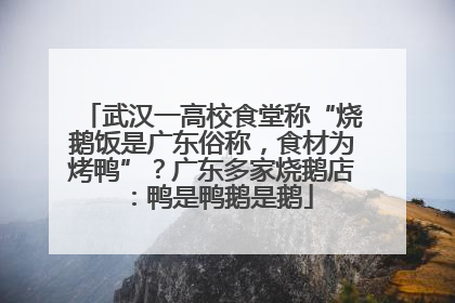 武汉一高校食堂称“烧鹅饭是广东俗称，食材为烤鸭”？广东多家烧鹅店：鸭是鸭鹅是鹅