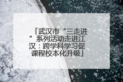 武汉市“三走进”系列活动走进江汉：跨学科学习促课程校本化升级