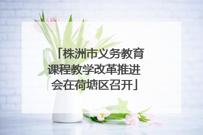 株洲市义务教育课程教学改革推进会在荷塘区召开