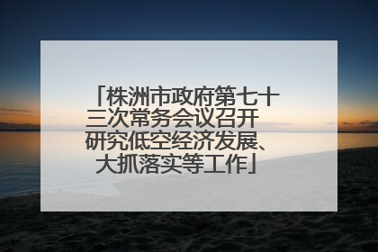 株洲市政府第七十三次常务会议召开 研究低空经济发展、大抓落实等工作