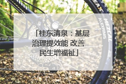 桂东清泉：基层治理提效能 改善民生增福祉