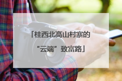 桂西北高山村寨的“云端”致富路