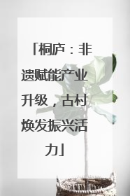 桐庐：非遗赋能产业升级，古村焕发振兴活力