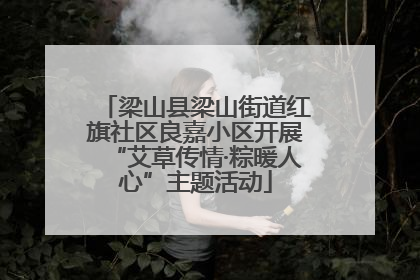 梁山县梁山街道红旗社区良嘉小区开展“艾草传情·粽暖人心”主题活动