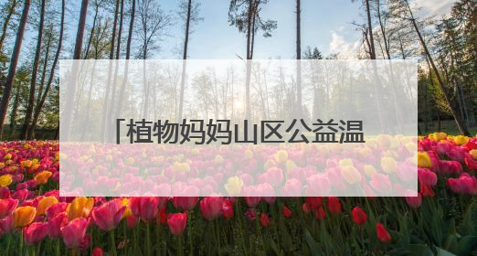 植物妈妈山区公益温情之行：用自然之爱，暖山区童梦之心