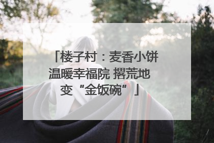 楼子村：麦香小饼温暖幸福院 撂荒地变“金饭碗”